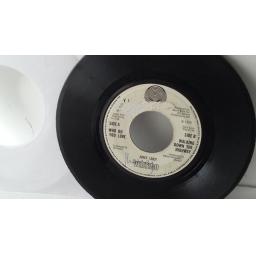 JUICY LUCY who do you love, 7" single, V1
