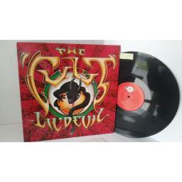 THE CULT lil' devil, 12 inch single, BEG 188T