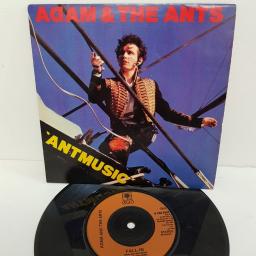 ADAM & THE ANTS, antmusic, B side fall-in, S CBS 9352, 7" single