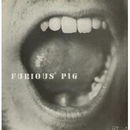 Furious pig. I DON'T LIKE YOUR FACE