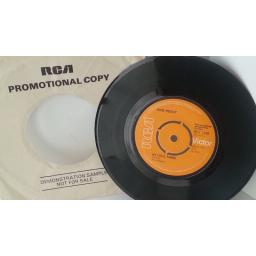ELVIS PRESLEY kentucky rain, 7 inch DEMO single, RCA 1949