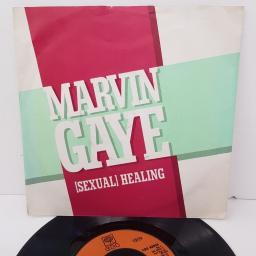MARVIN GAYE, (sexual) healing, B side (instrumental), CBS A2855, 7" single