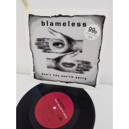 BLAMELESS, don't say you're sorry, B side made up my mind, WOK2048, 7" single