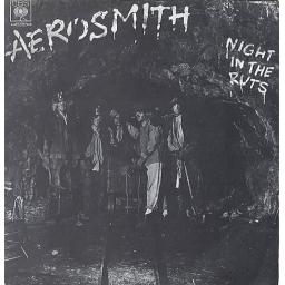 AEROSMITH, Night In the ruts