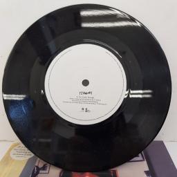 PJ HARVEY, you come through, B side stone, IS 869, 7" single