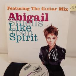 ABIGAIL - smells like teen spirit the guitar mix, B side stop the hands of time, KLONES 25, 7" single