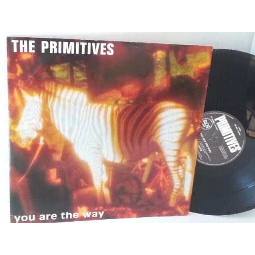 THE PRIMITIVES you are the way