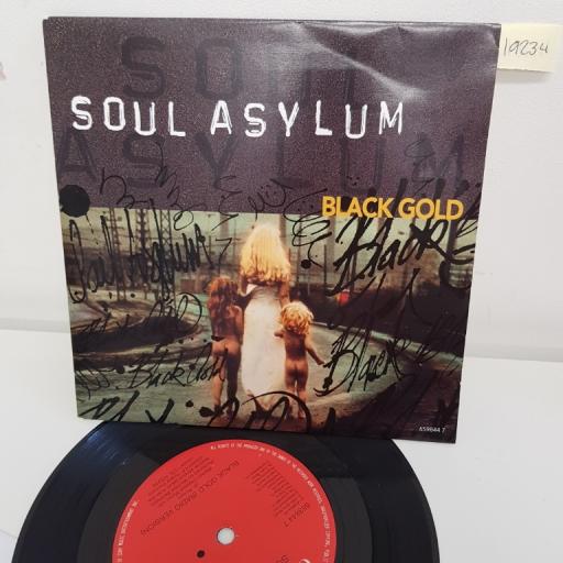 SOUL ASYLUM, black gold radio version , B side somebody to shove unplugged , 659844 7, 7" single