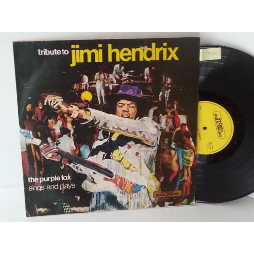 THE PURPLE FOX tribute to jimi hendrix, MER 340