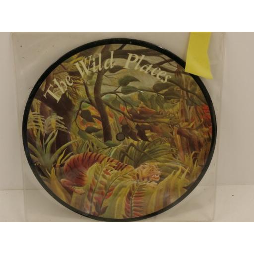 DUNCAN BROWNE the wild places, 7 inch single, picture disc, GO 329