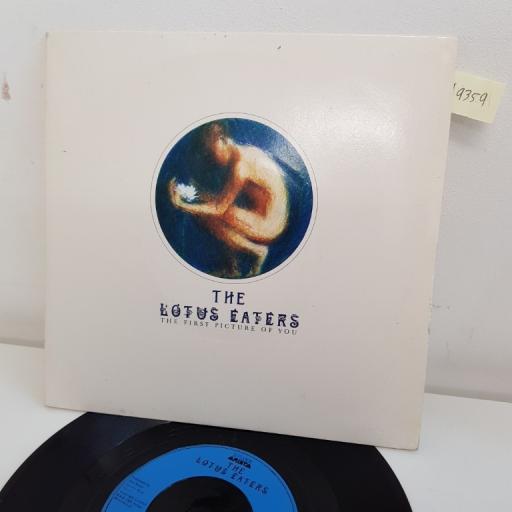 THE LOTUS EATERS, the first picture of you, B side the lotus eaters, SYL 1, 7" single