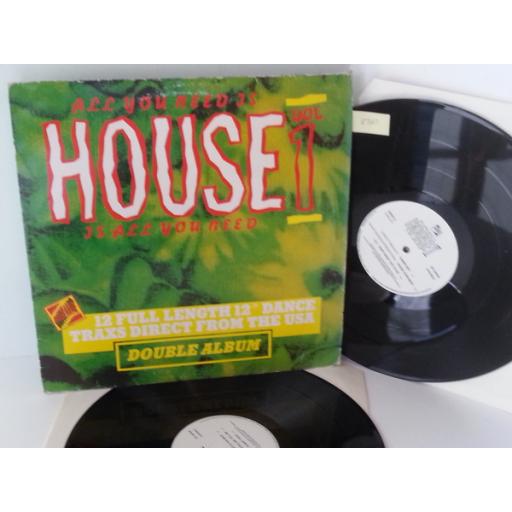 VARIOUS all you need is house, house is all you need volume 1, double album, DWLP 1