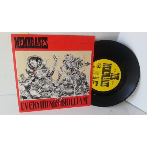 THE MEMBRANES everything's brilliant, 7 inch single, IT 29