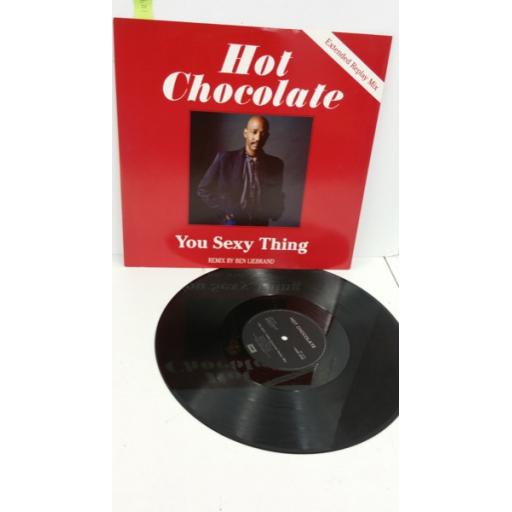 HOT CHOCOLATE you sexy thing (extended replay mix), 12 inch single, 12 EMI 5592