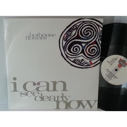 HOTHOUSE FLOWERS i can see clearly now