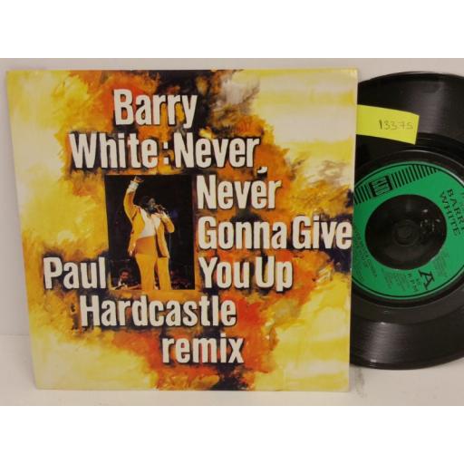 BARRY WHITE never, never gonna give you up (paul hardcastle remix), PICTURE SLEEVE, 7 inch single, JAB 59