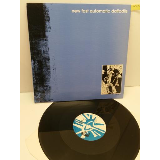 NEW FAST AUTOMATIC DAFFODILS lions (12" EP), AMUSE 4T