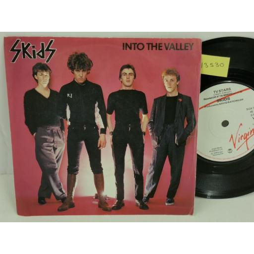 SKIDS into the valley, PICTURE SLEEVE, 7 inch single, VS241