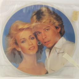 DOLLAR no mans land. takin' a chance on you. 7"picture disc VINYL. K18353