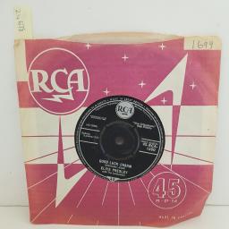 ELVIS PRESLEY anything that's part of you. good luck charm. 7" VINYL. 45RCA1280
