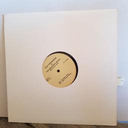 THE MYSTERY BOYS monie love mix. let there be house. 12” VINYL SINGLE. TP1002