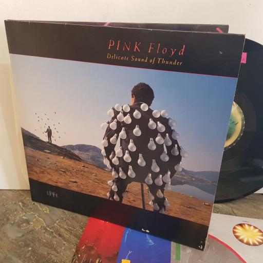 PINK FLOYD, DELICATE SOUND OF THUNDER. VINYL 12" LP. EQ5009