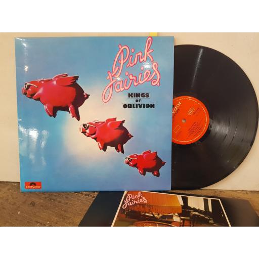 THE PINK FARIES Kings of oblivion, 12" vinyl LP. 2383212
