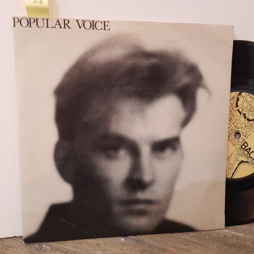POPULAR VOICE Home for the summer, 7" vinyl single. NCH002