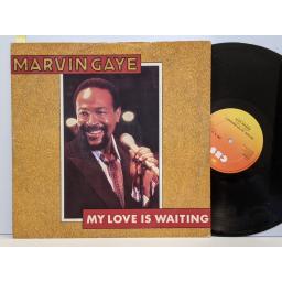 MARVIN GAYE My love is waiting, rockin' after midnight, 12" vinyl SINGLE. CBSA133048