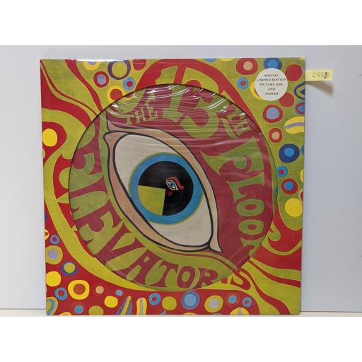 13TH FLOOR ELEVATORS The psychedelic sounds of..., 12" PICTURE DISC & POSTER vinyl LP. LIKP003