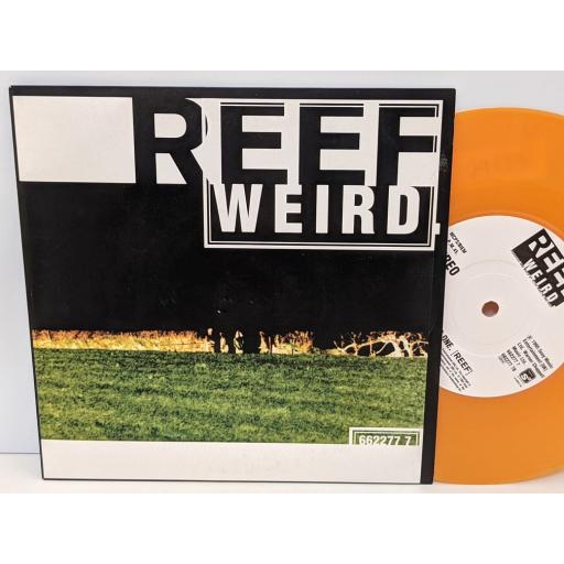 REEF Weird, Acoustic one, 7" vinyl SINGLE. 6622777