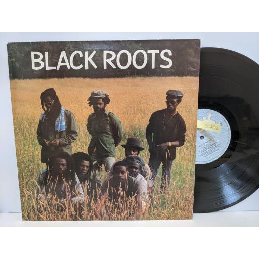 BLACK ROOTS Black roots, 12" vinyl LP. KICLP02