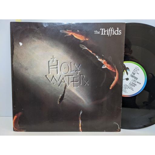 THE TRIFFIDS Holy water, 12" vinyl SINGLE. 12IS367