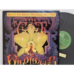 THE CULT Wild flower special limited edition 12" single. VOZ195T