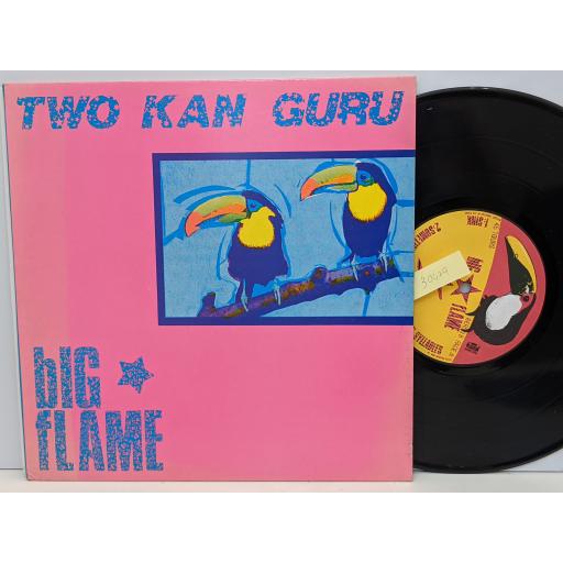 BIG FLAME Two kan guru, 10" vinyl LP. RERON8