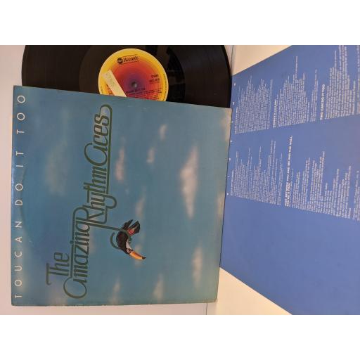 THE AMAZING RHYTHM ACES Toucan do it too, 12" vinyl LP. ABCL5219