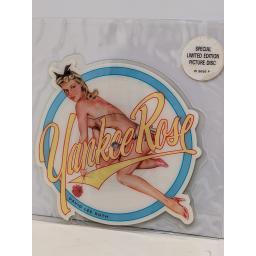 DAVID LEE ROTH Yankee rose 7" cut-out picture disc single. W8656P