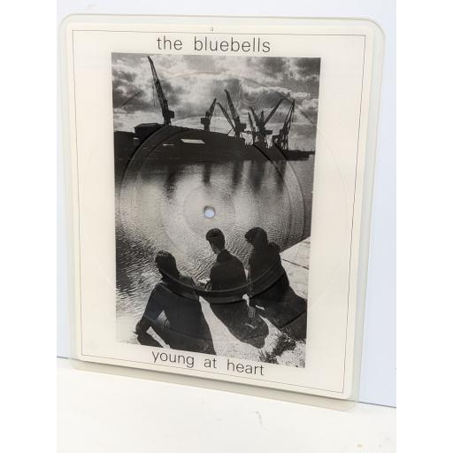 THE BLUEBELLS Young at heart 7" cut-out picture disc single. LONPD46
