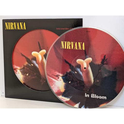 NIRVANA In bloom limited edition 12" picture disc single. GFSTP34