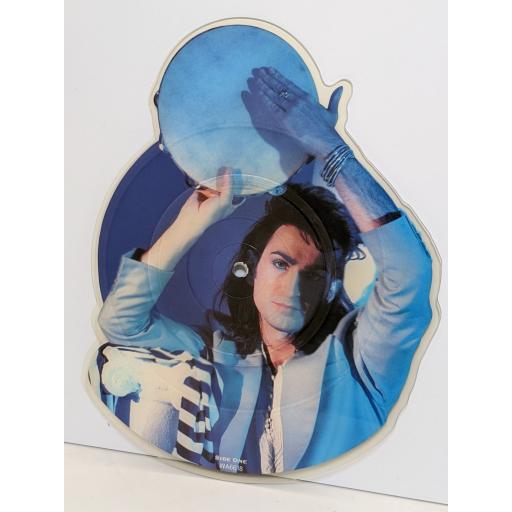 KING The taste of your tears 7" cut-out picture disc single. WA6618