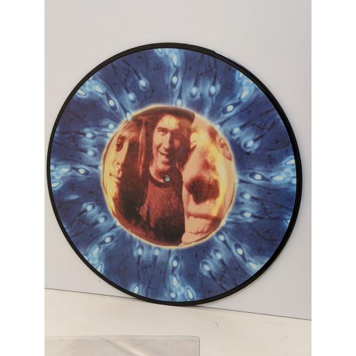 NIRVANA Come as you are 12" picture disc 45 RPM. DGCTP7