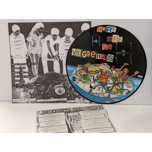 THE VAGEENAS Here are the Vageenas 10" picture disc single sided. INC081