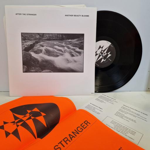 AFTER THE STRANGER Another beauty blooms 12" vinyl LP. SR0010