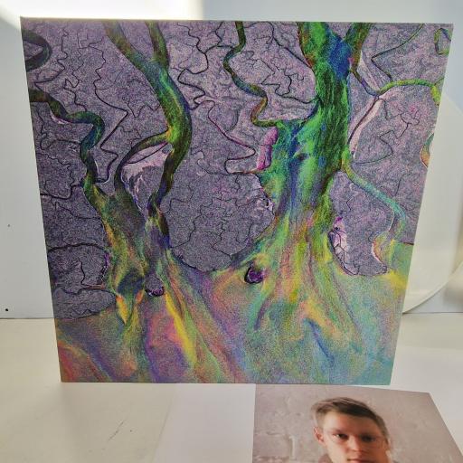 ALT-J An awesome wave 12" white vinyl LP. INFECT134LP