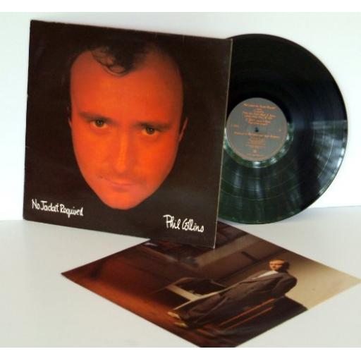 PHIL COLLINS, no jacket required, V 2345, 12" LP