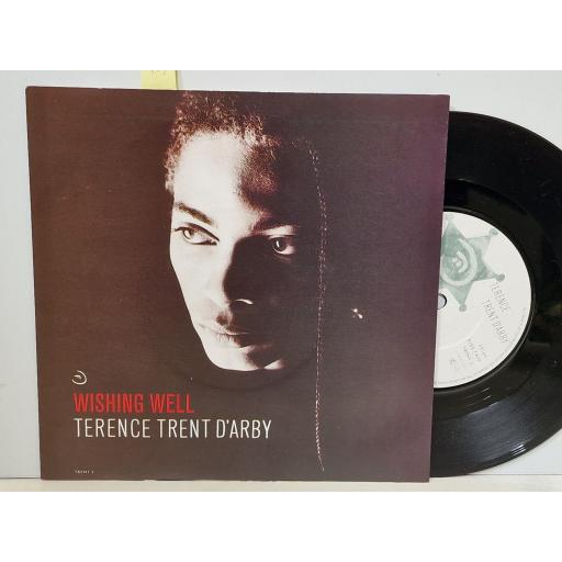 TERENCE TRENT D'ARBY Wishing well 7" single. TRENT2