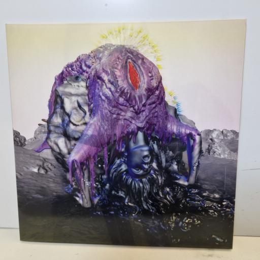 BJORK Vulnicura 2x12" vinyl LP. TPLP1231