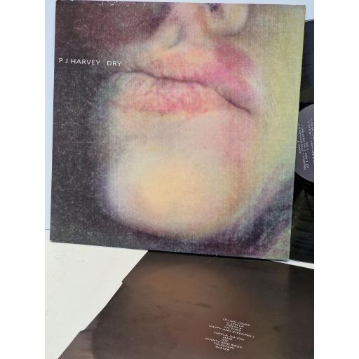 PJ HARVEY Dry 12" vinyl LP. PURE10