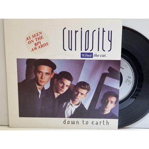 CURIOSITY KILLED THE CAT Down to Earth 7" single. CAT2
