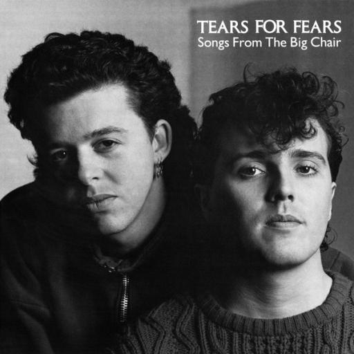 TEARS FOR FEARS Songs from the big chair, 12" vinyl LP. MERH58
